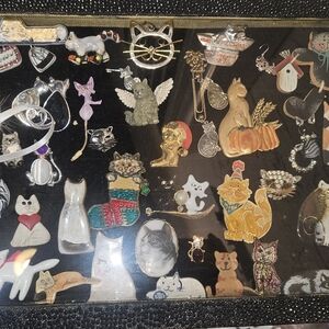 Beautiful Cat Broches & Pins in Case